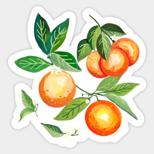 Orange Grove Garden Sticker